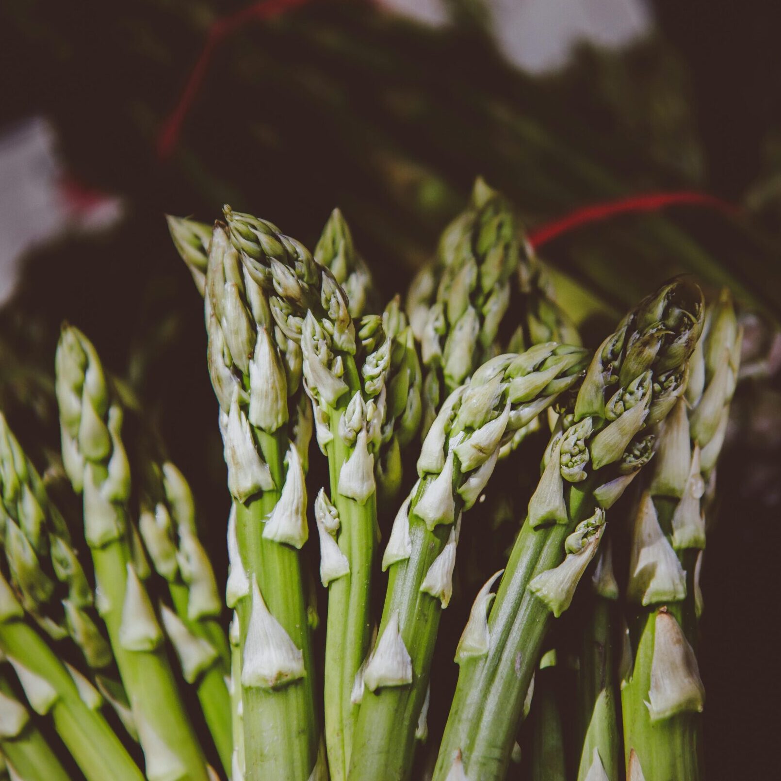 Les légumes du mois d'avril
