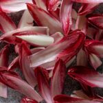 Salade d'endives au hareng fumé