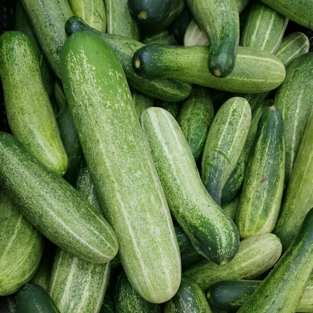 Les légumes du mois de mai