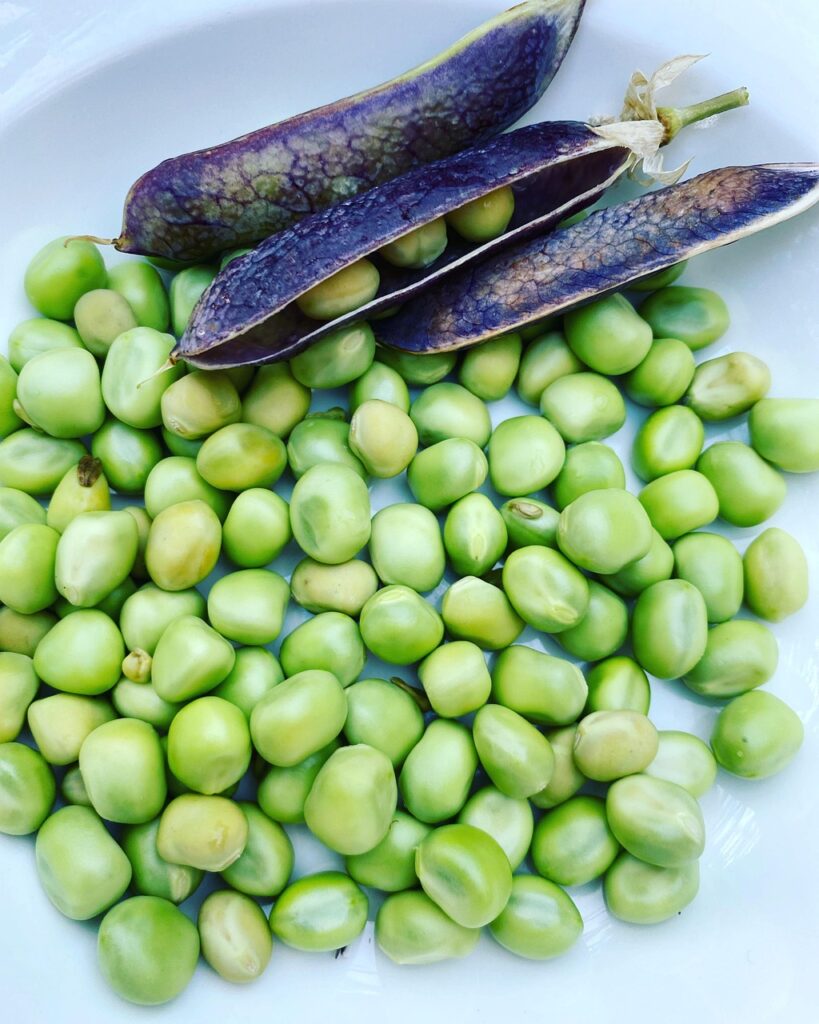 Jardinière de légumes