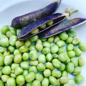 Jardinière de légumes