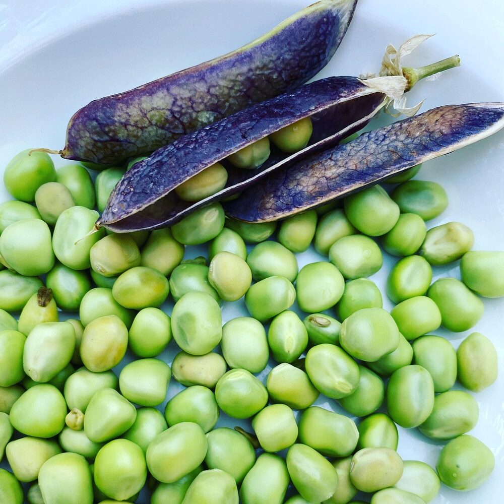 Jardinière de légumes