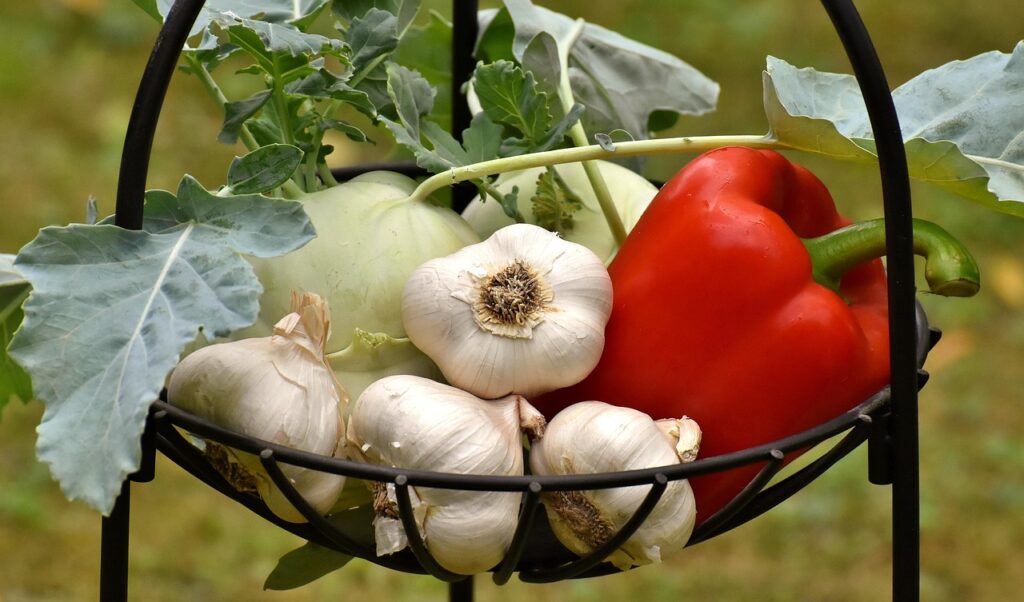vegetables, paprika, garlic, healthy, food, vitamins, vegetable plant, fresh, yummy, vegetables, garlic, garlic, garlic, garlic, garlic