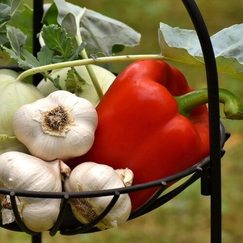 vegetables, paprika, garlic, healthy, food, vitamins, vegetable plant, fresh, yummy, vegetables, garlic, garlic, garlic, garlic, garlic
