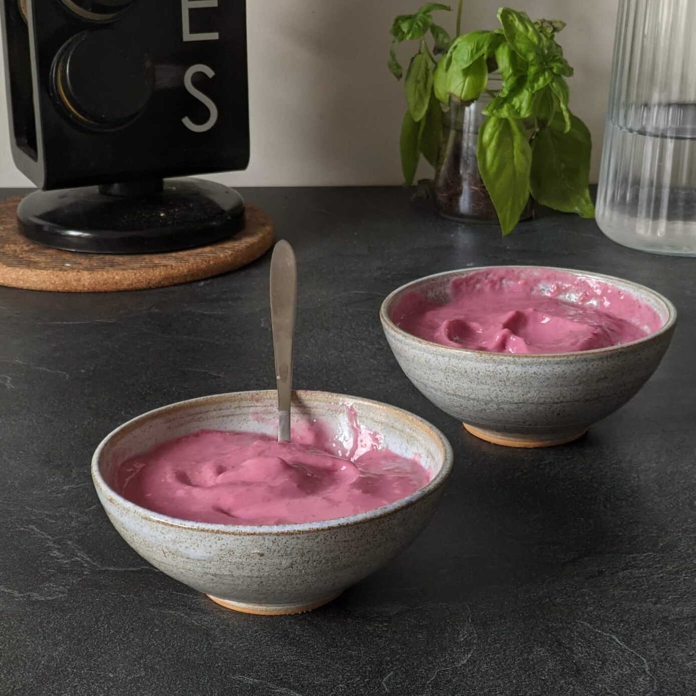 Crèmes dessert protéinées