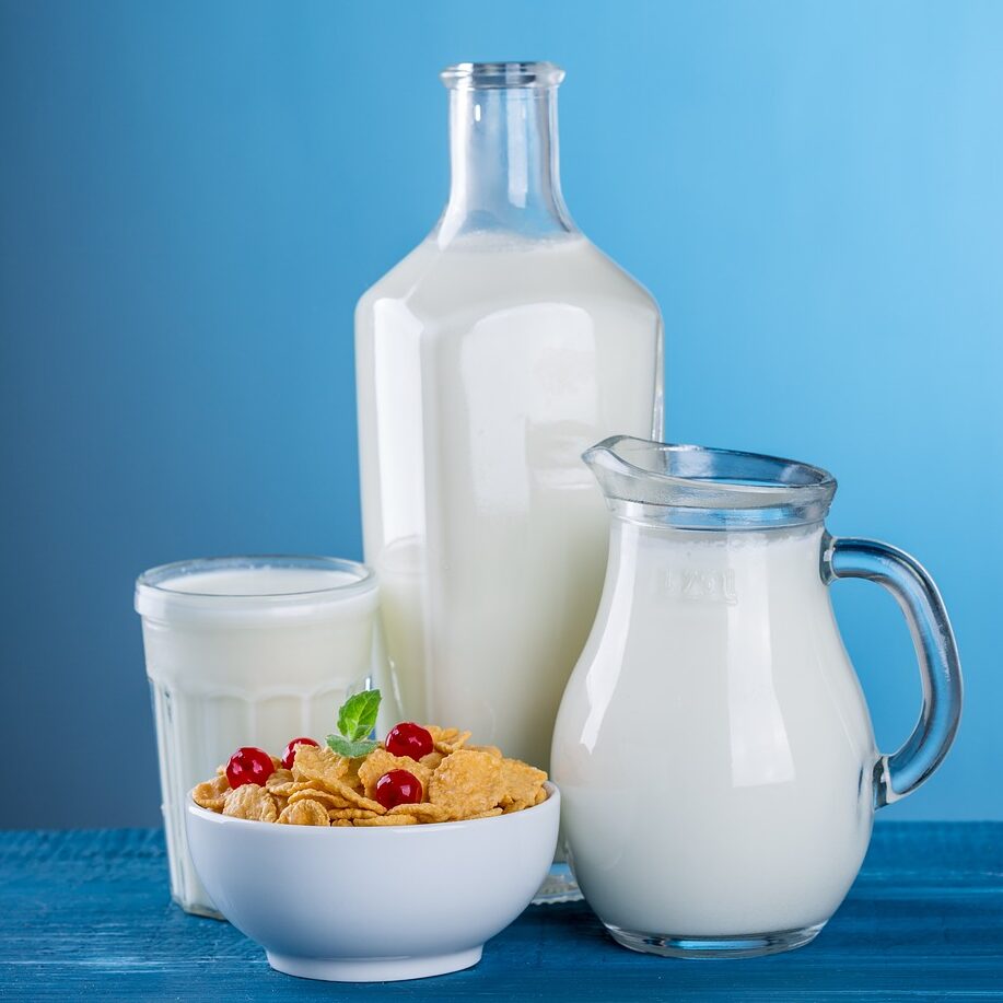Tout comprendre sur les produits laitiers