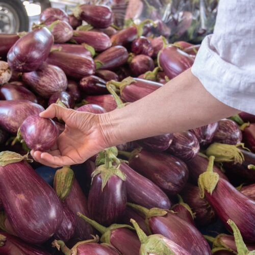 Les légumes du mois d'aout