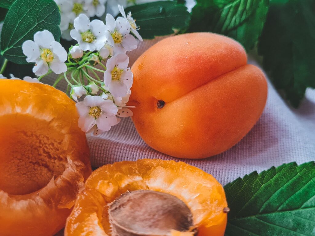 Les fruits du mois d'aout