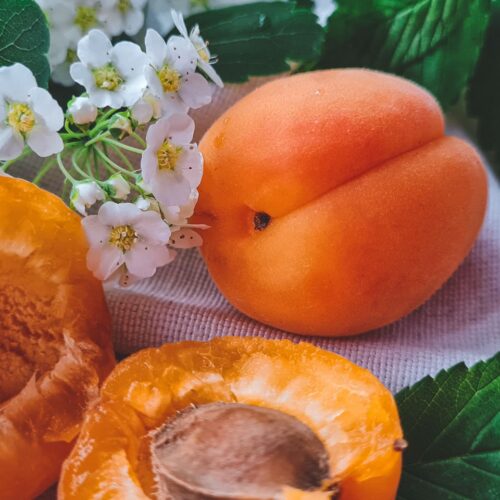 Les fruits du mois d'aout