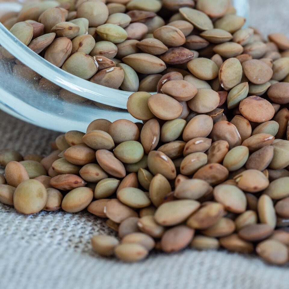 Salade de lentilles